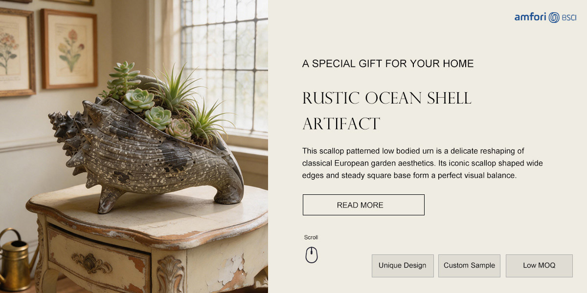 Rustic Ocean Shell Artifact Rustic Ocean Shell Artifact